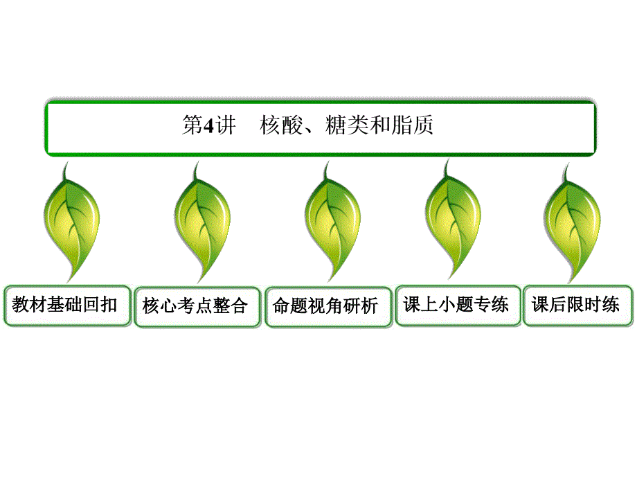 高三生物一轮复习专题通用课件必修一核酸糖类和脂质_第3页