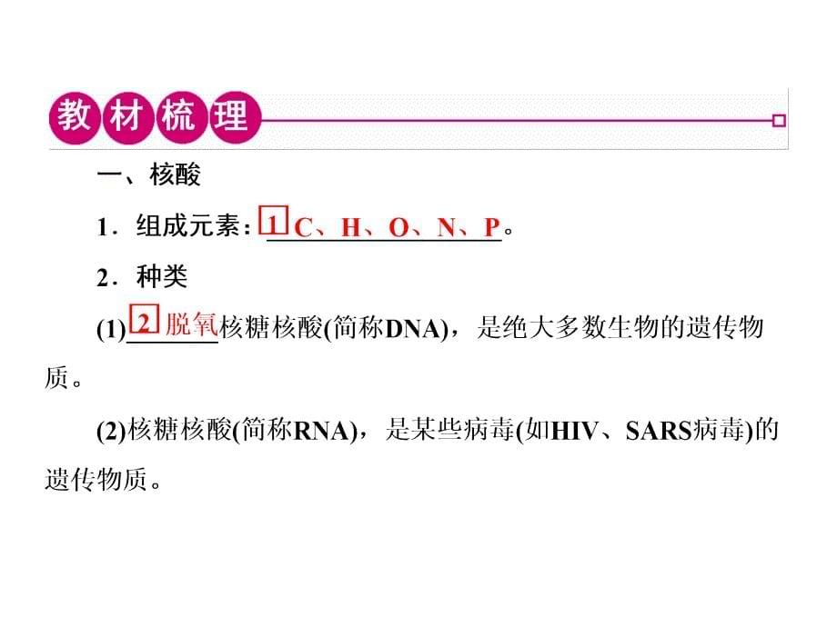 高三生物一轮复习专题通用课件必修一核酸糖类和脂质_第5页