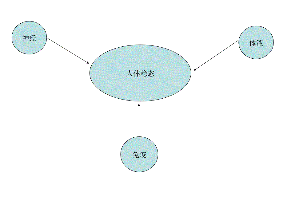 人教版必修三第二章第一节通过神经系统的调节（共40张PPT）_第2页