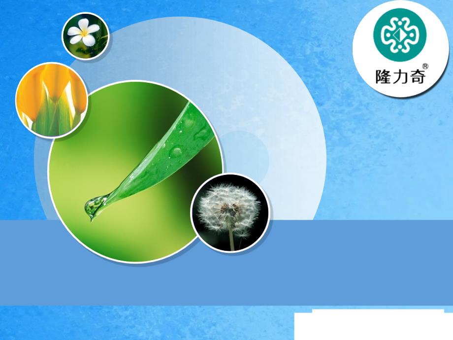 隆力奇十大优势超越团队顾客资料ppt课件_第1页