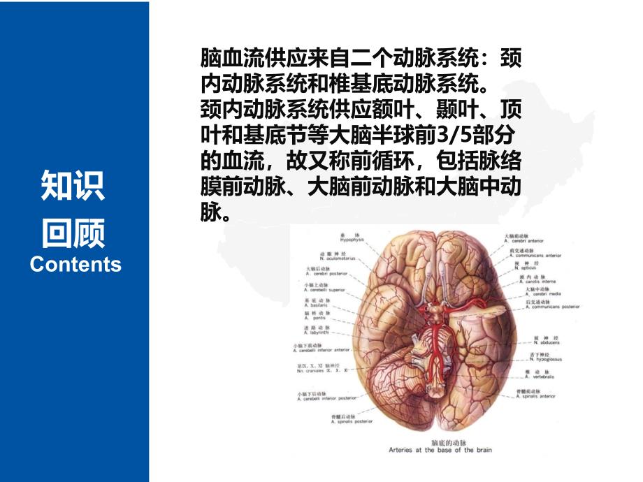 脑梗死的病因课件_第2页