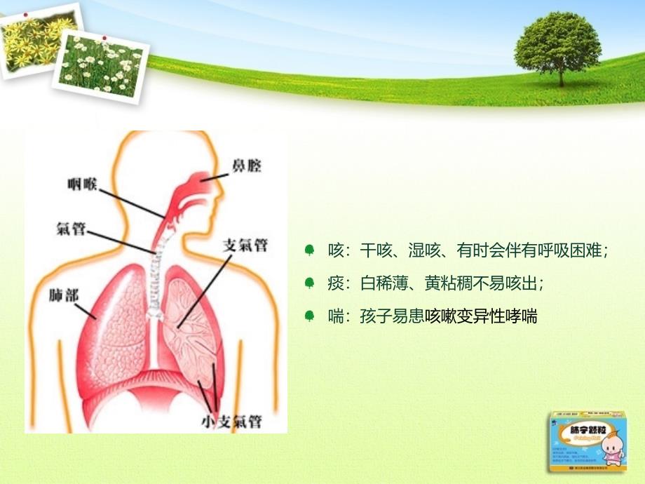 《修正肺宁颗粒》PPT课件.ppt_第3页