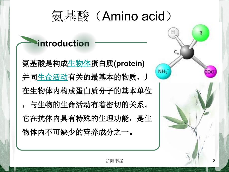 5氨基酸与支链氨基酸[课资资源]_第2页