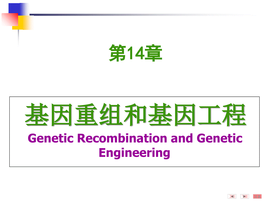 基因重组和基因工程_第1页