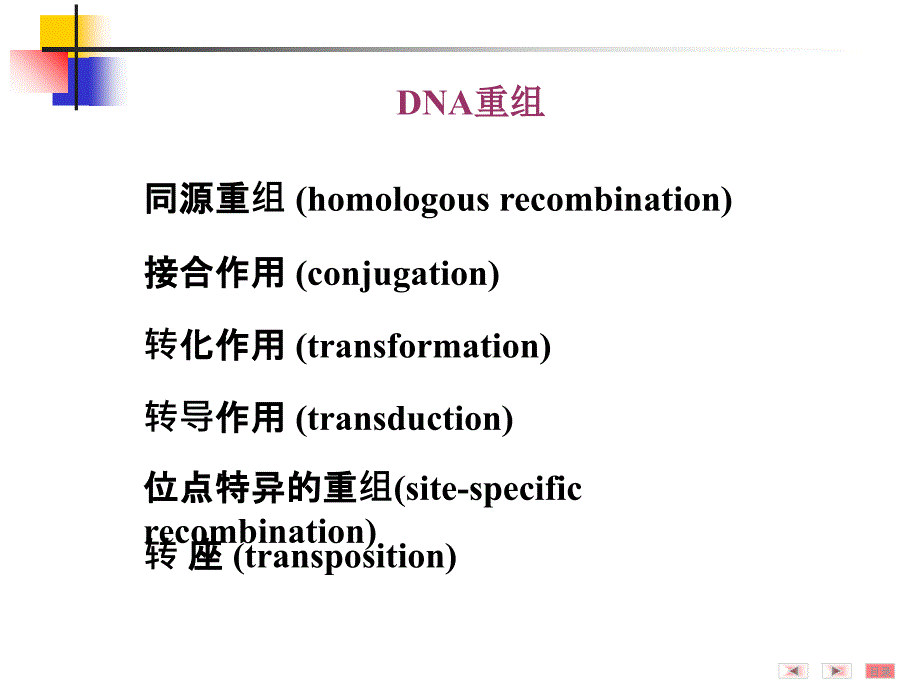 基因重组和基因工程_第4页