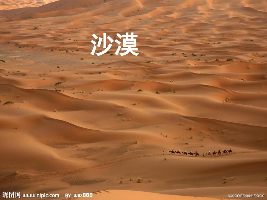 苏教版四年级语文下册18课沙漠中的绿洲课件_第1页