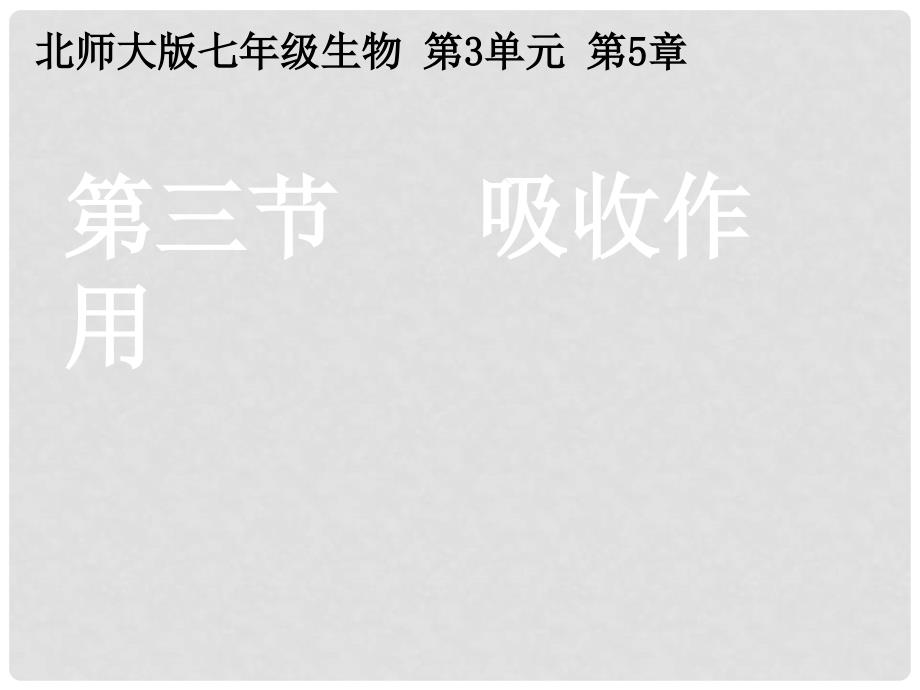 湖北省汉川实验中学七年级生物上册 吸收作用课件 人教新课标版_第1页