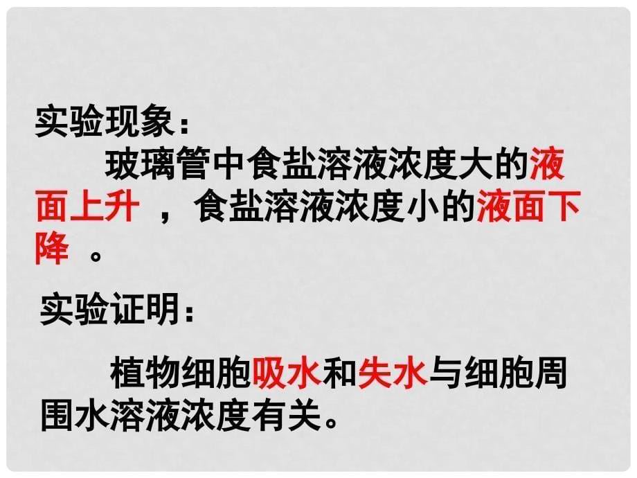 湖北省汉川实验中学七年级生物上册 吸收作用课件 人教新课标版_第5页