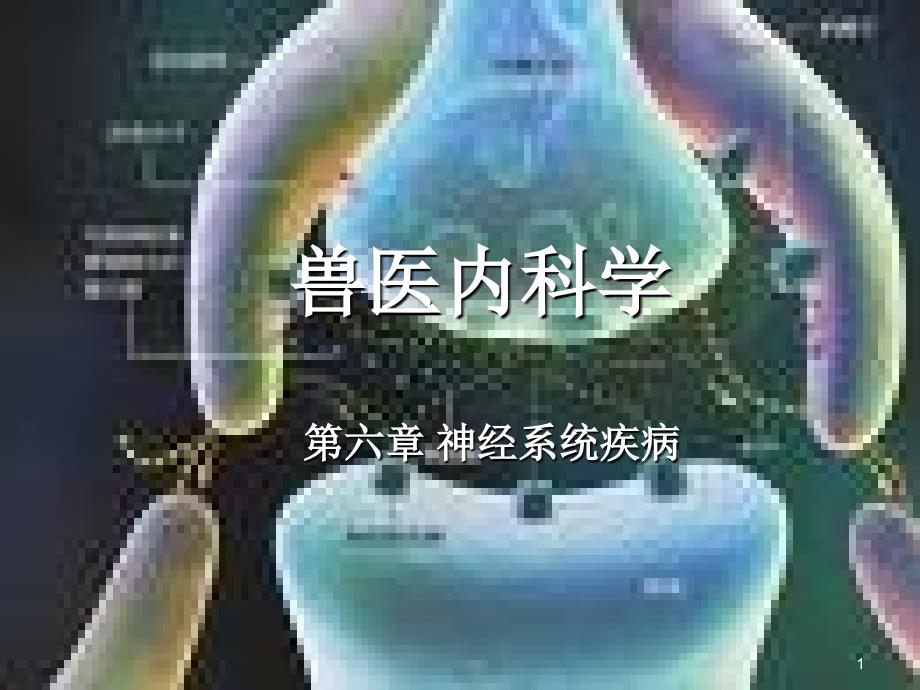 内科神经系统_第1页