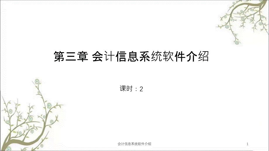 会计信息系统软件介绍课件_第1页