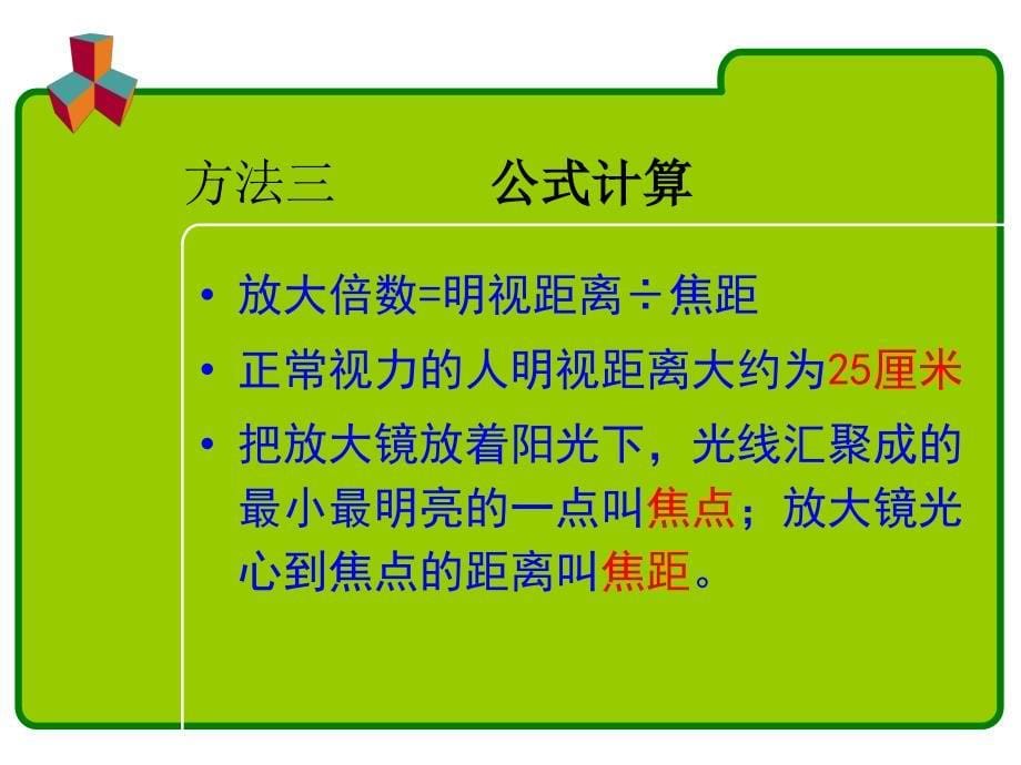 《放大镜的放大倍数》PPT课件.ppt_第5页