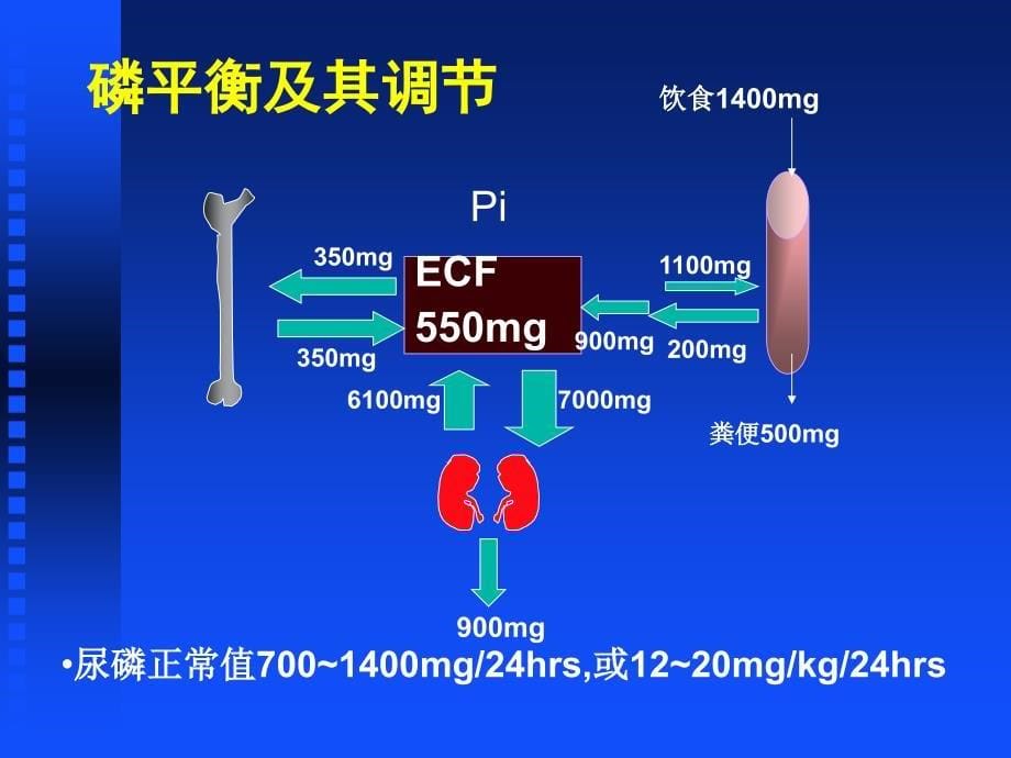 佝偻病和骨软化症_第5页