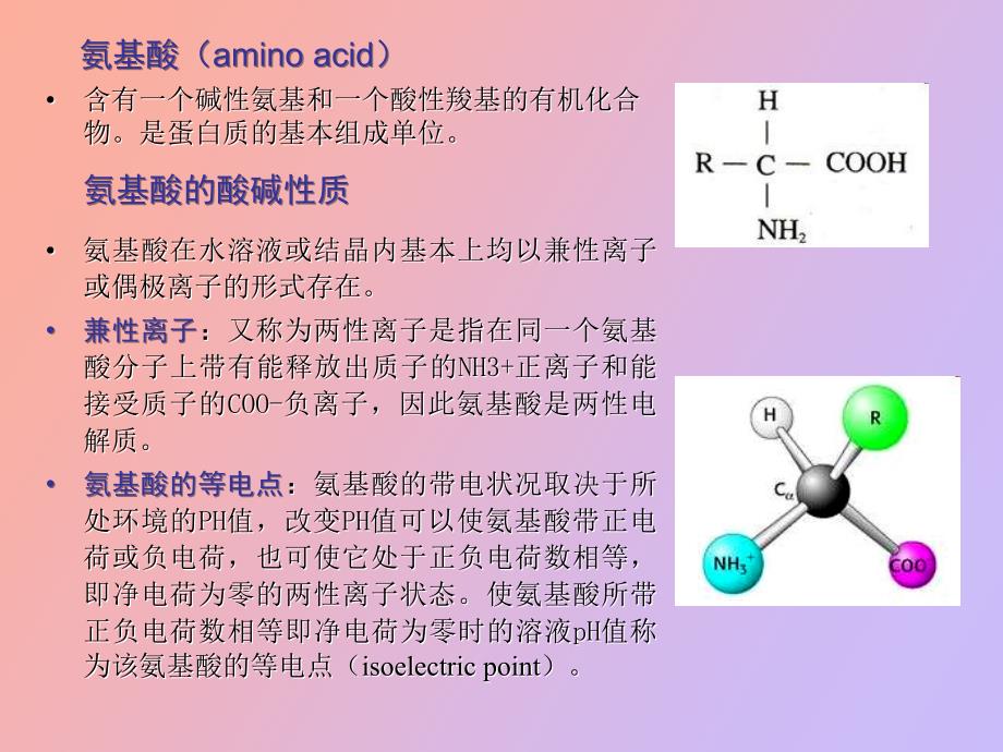 蛋白质电泳与操作_第3页