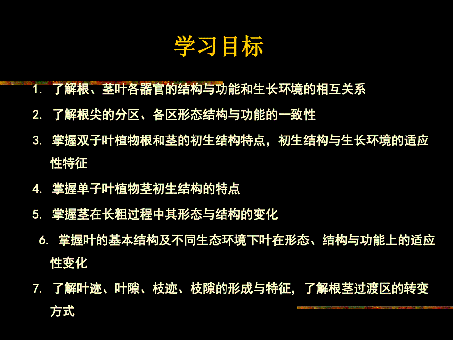 植物学教学资料第三章营养器官根_第3页