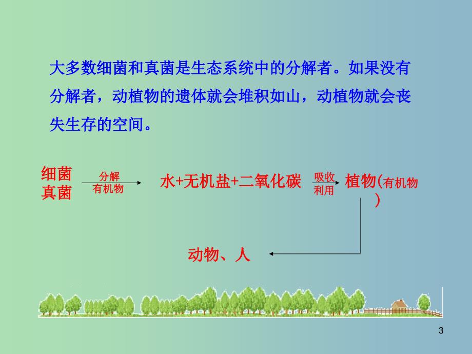 八年级生物上册 5.4.4 细菌和真菌在自然界中的作用课件 （新版）新人教版.ppt_第3页