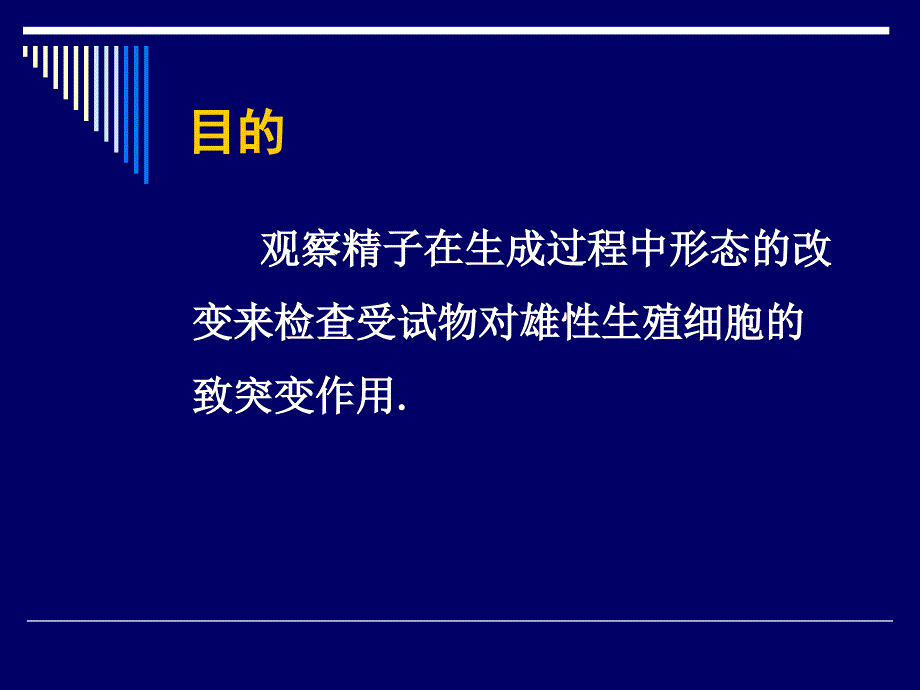 小鼠精子畸形实验_第4页