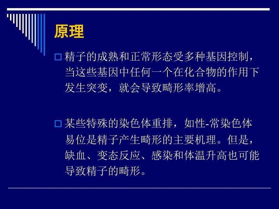 小鼠精子畸形实验_第5页