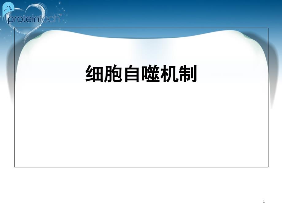 细胞自噬机制_第1页