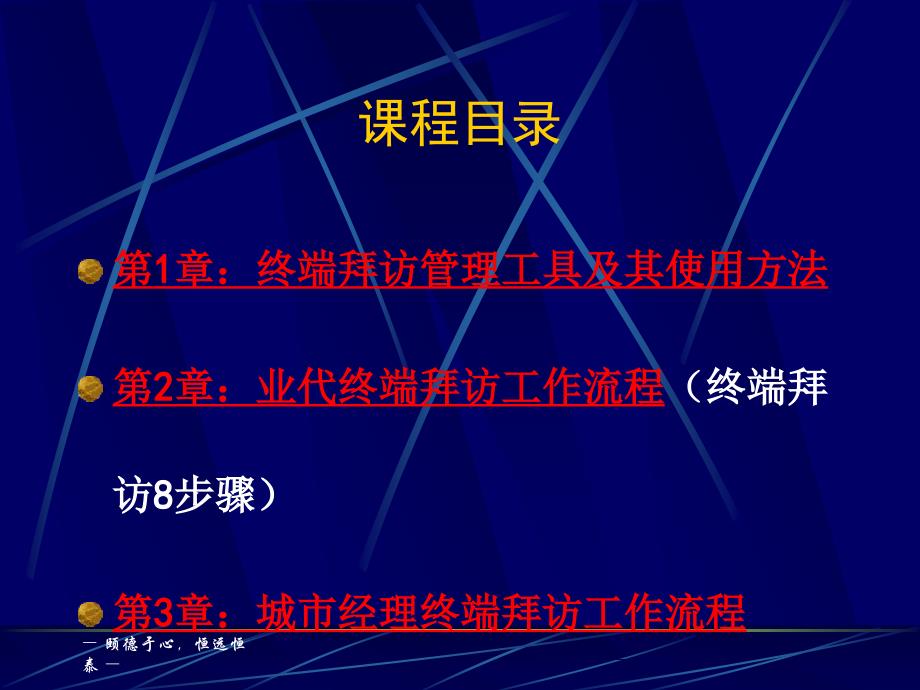 终端拜访管理方法工具流程制度_第2页