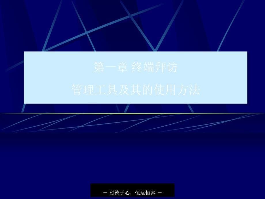 终端拜访管理方法工具流程制度_第5页