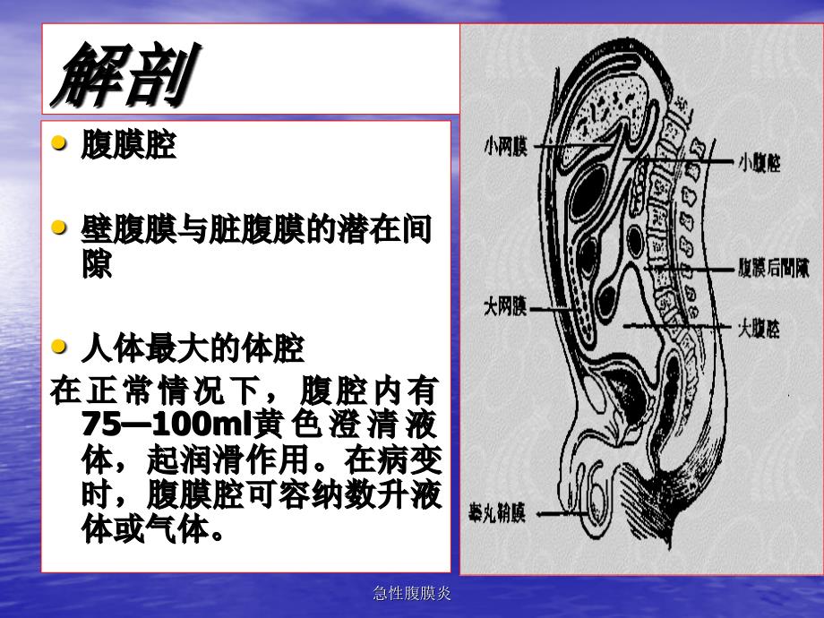 最新急性腹膜炎_第4页