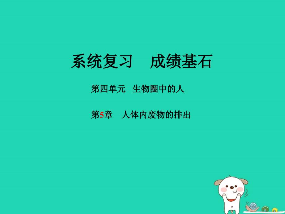 （聊城专）中考生物 第一部分 系统复习 成绩基石 第4单元 第5章 人体内废物的排出课件_第1页