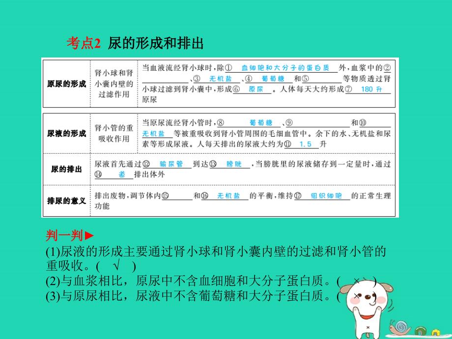 （聊城专）中考生物 第一部分 系统复习 成绩基石 第4单元 第5章 人体内废物的排出课件_第3页