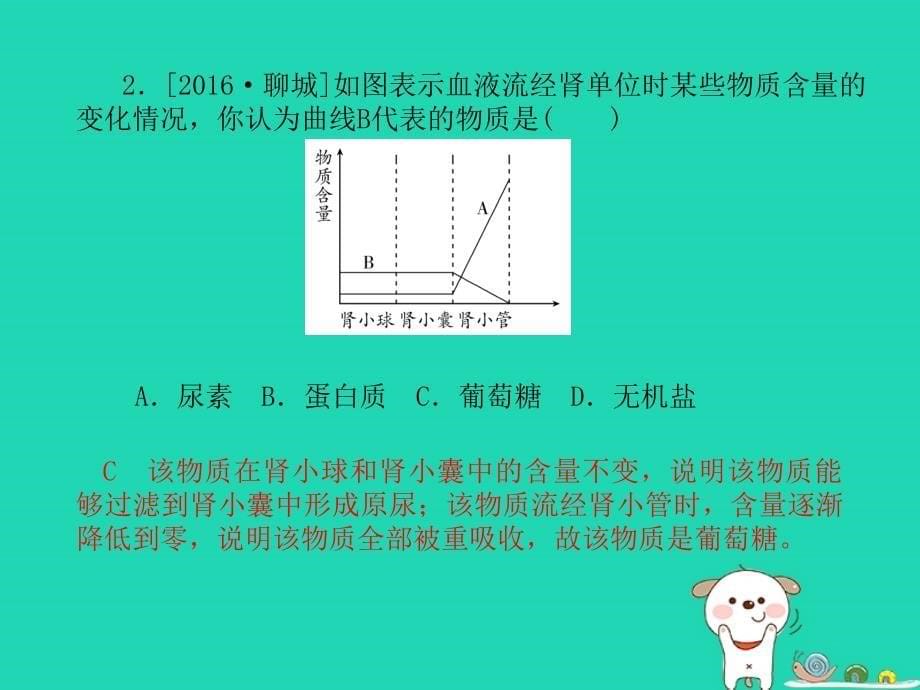 （聊城专）中考生物 第一部分 系统复习 成绩基石 第4单元 第5章 人体内废物的排出课件_第5页