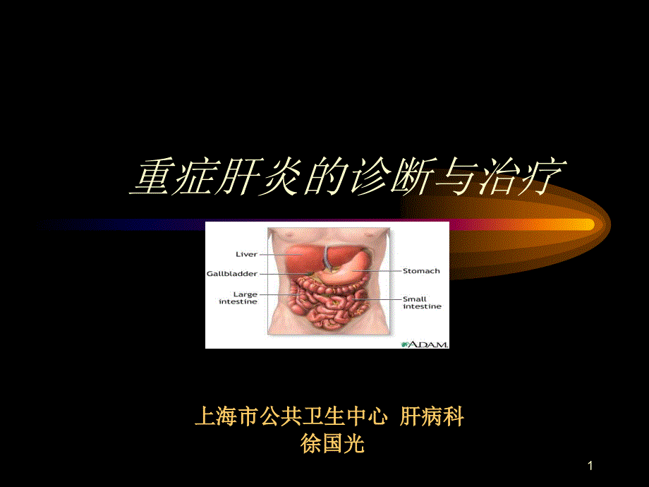 重症肝炎的诊断与治疗_第1页