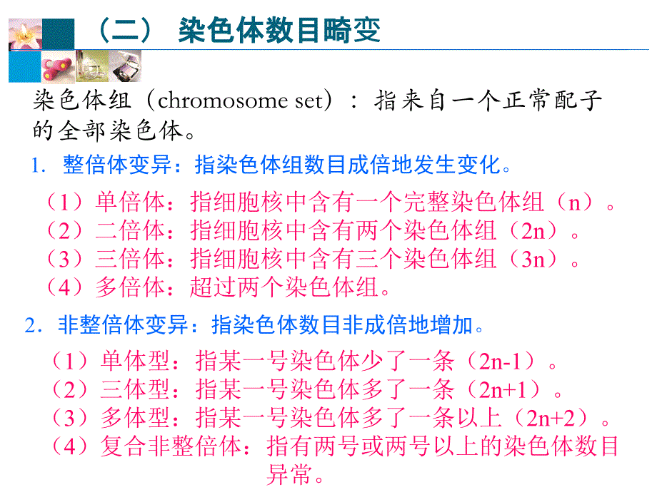 遗传7.0染色体病_第2页