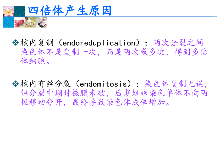 遗传7.0染色体病_第4页