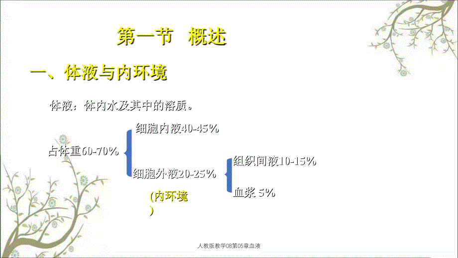 人教版教学08第05章血液_第3页