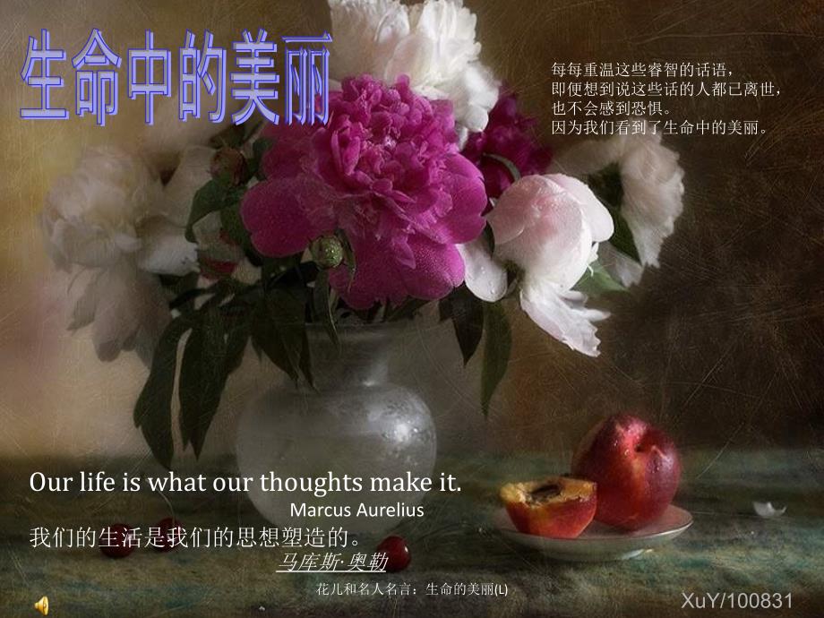 花儿和名人名言生命的美丽L课件_第1页