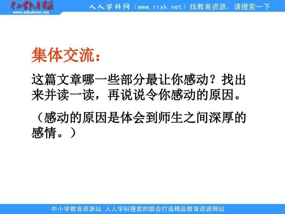 浙教版四年级下册天的雨点PP课件 2_第5页