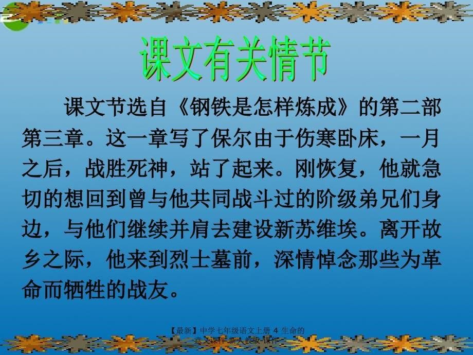 最新七年级语文上册4生命的意义课件新人教版课件_第5页