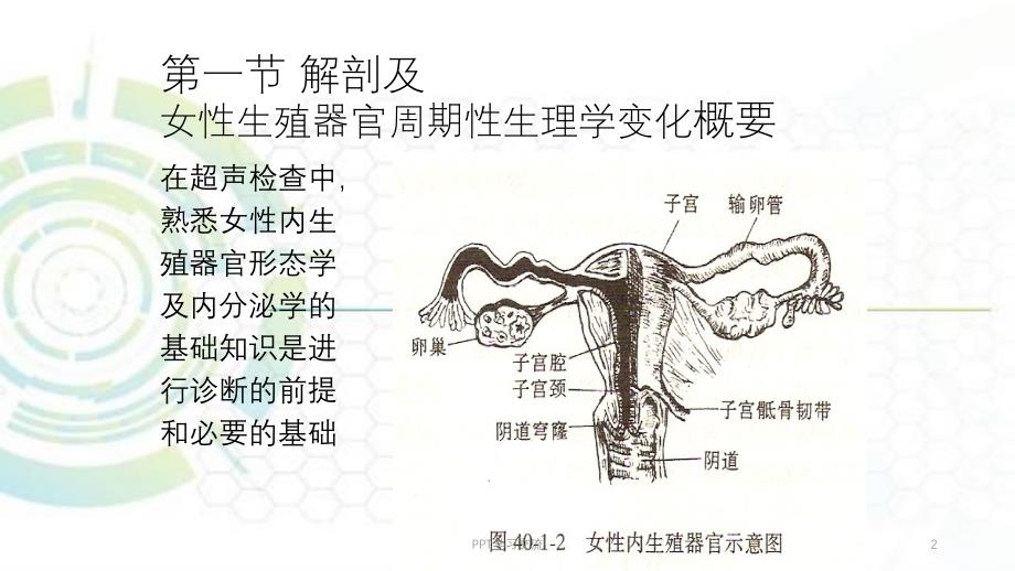 妇产科超声ppt课件_第2页