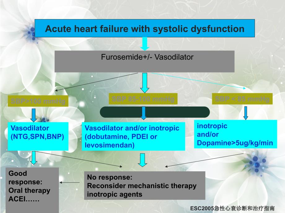 急性心衰治疗若干进展PPT课件02_第4页