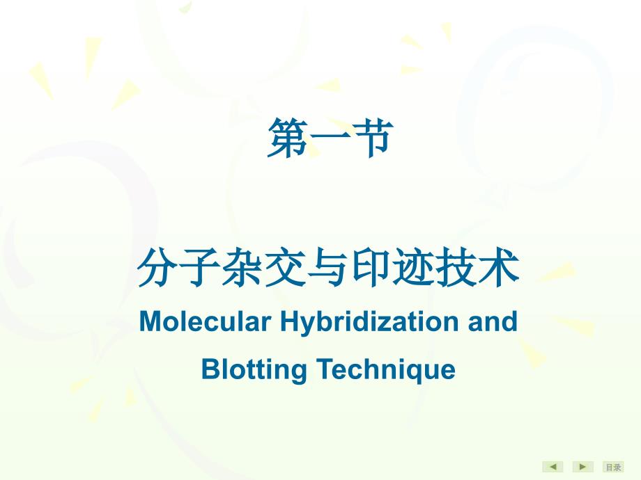 常用分子生物学技术的理及其应用_第2页