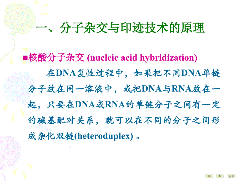 常用分子生物学技术的理及其应用_第3页