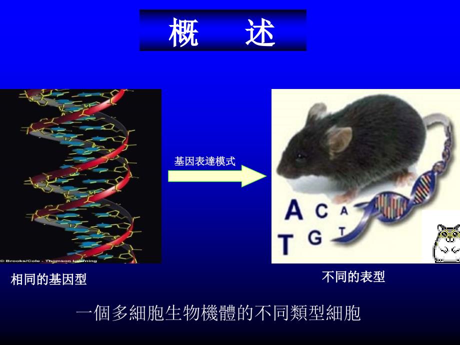 同济大学医学与生命科学部_第3页