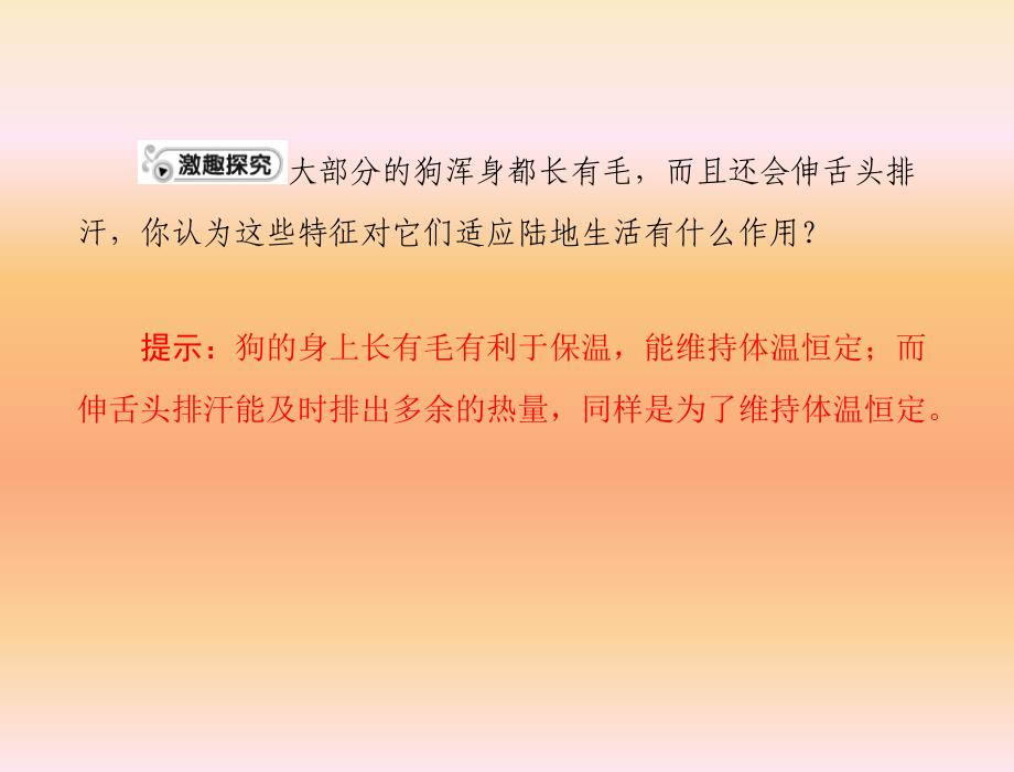 生物：5.1.2陆地生活的动物课件(人教版八年级上)_第3页