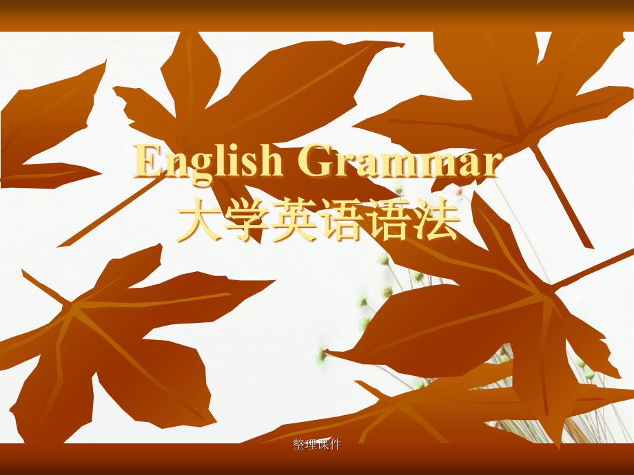 EnglishGrammar大学英语语法_第1页