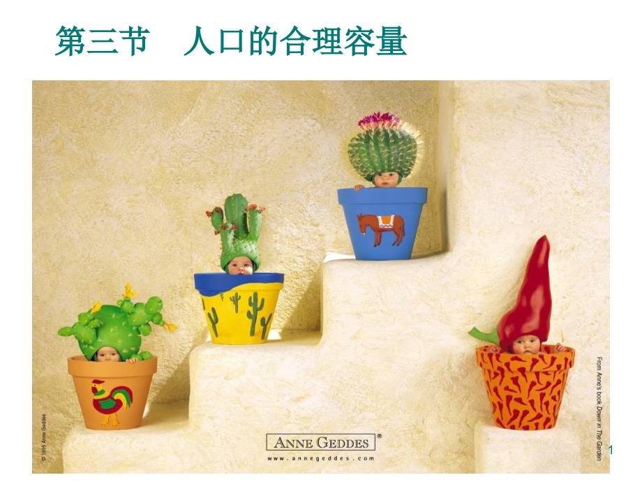 人口的合理容量优秀课件_第1页