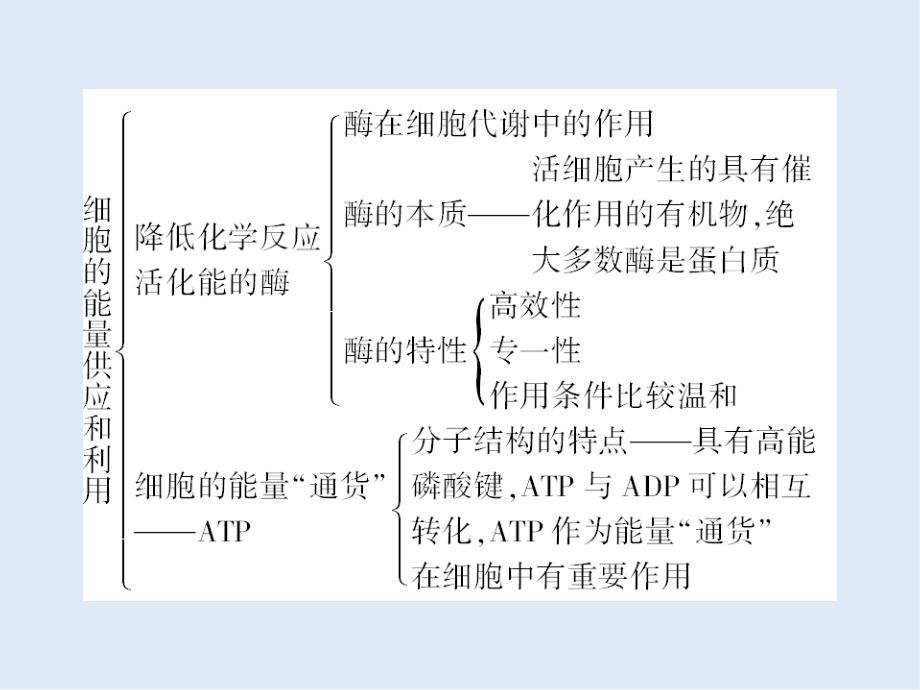 辽宁省沈阳市二十一中高中生物人教版必修一小结课件：第五章_第3页