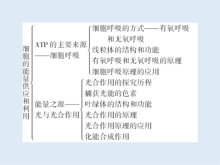 辽宁省沈阳市二十一中高中生物人教版必修一小结课件：第五章_第4页