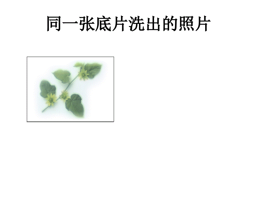 121全等三角形_第4页