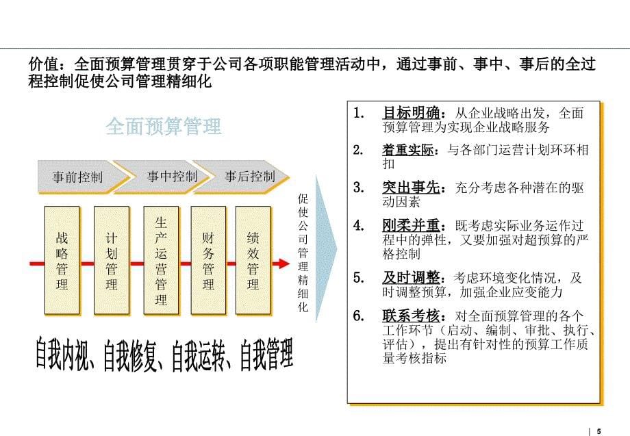 全面预算管理体系的总体框架要点_第5页