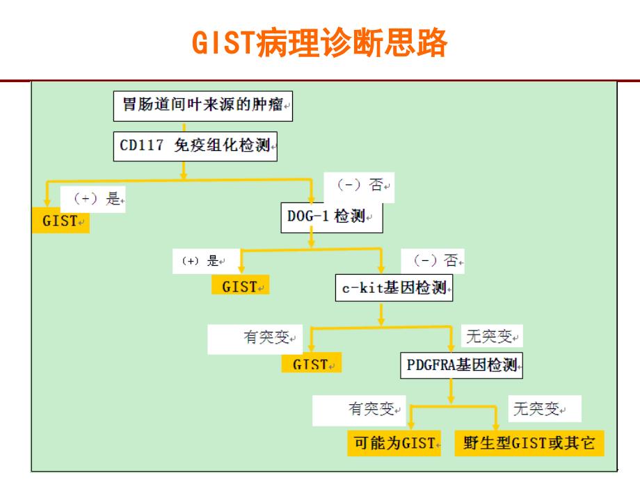 中国胃肠道间质瘤GIST共识更新_第4页