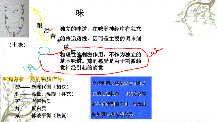 食品添加剂教学幻灯片酸度调节剂_第1页