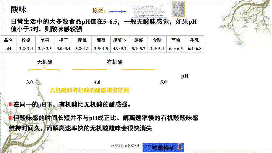 食品添加剂教学幻灯片酸度调节剂_第4页